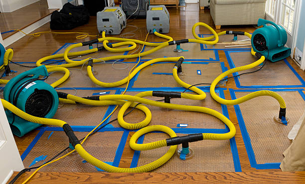 Professional Crawl Space Water Removal technician working in Linden, IA
